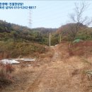 천리목장 이미지