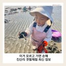 아이랑 태안 진산리 갯벌체험｜N 번째 방문 기준 달라진 점(맛조개체험)