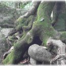 희방사 입구 이미지