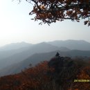 갈림길 이미지