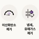 허니슬립 이미지