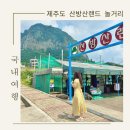 제주도 실외 가볼만한곳 산방산랜드 레일썰매l바이킹l양먹이체험 이색데이트