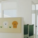 라라스테이 이미지