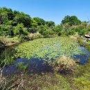 노루유치원 이미지