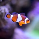 한국수산질병관리원 이미지