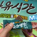 자유시간 | 두바이맛 자유시간 후기[두바이스타일 자유시간 피스타치오＆카다이프 미니]