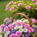 광주시민체육관 이미지