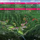 용인자연휴양림 야영장 이미지