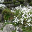 남산사 - 1280 | 남산사
