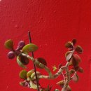 해안중학교 이미지