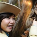 신지농장 이미지