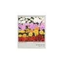 (주)비에스넷 | 🐶 🐶 🐶 (3월)