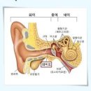 외이도염 원인과 통증 진물 관리 이미지