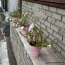 화운로L 이미지