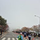 태학여내길 | 2025 홍천사랑마라톤 하프 후기