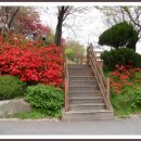 조선대학교병원 이미지