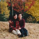 샘골로 33 이미지