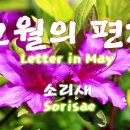 안*경 이미지