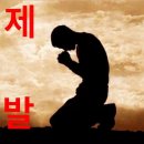 스카이 돔 나이트 | 야근 - 잼컨 - 야근 - 잼컨의 반복