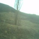 요셉목장 이미지