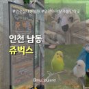 승연전자 | [인천 남동] 사계절 내내 가기 좋은 인천실내동물원 | 쥬벅스