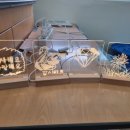 전북혜화학교 이미지