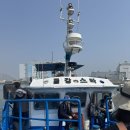 (주)바다출동 | 인천제일바다낚시 봄 쭈꾸미 낚시 다녀온 따끈따끈한 후기