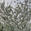 기옥농장 이미지