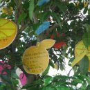 부산고용센터(고용복지플러스센터) 이미지