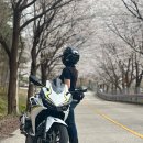 CU 춘천신북산천점 | 4.17 춘천 바리 : 건보령승호대 -> 가평 회식의달인