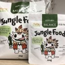 가자 | 청주 파충류샵/파충류 호텔링] 정글숲을지나서가자 (분양후기/청주 도마뱀 분양/도마뱀 호텔링/파충류...