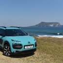 칵투스 아일랜드 이미지