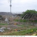 용지면사무소 이미지