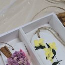 힐링 플라워테라피 이미지