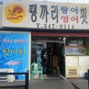 땡가리향어잉어횟집