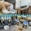 하수해수욕장 동쪽주차장 | 제주 우도여행 가볼만한곳 하수고동해수욕장 리트리버가 있는 오션뷰 카페 &amp; 소품샵 우디한섬