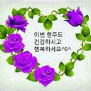 (주)시작