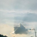 따봉맥주 이미지