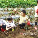 원선농장 이미지