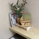 스테이인 1025 이미지