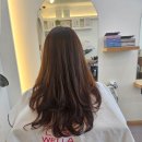 더 미쁘다 이미지