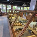 더 포레스트 이미지