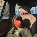 스마트키드벨트, 어린이 안전벨트 필수품 사용후기