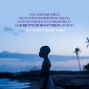 Black Swan : 청소년 관람 금지 | [영화][OTT]영화 &lt;문라이트&gt; 후기