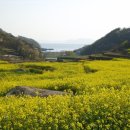 두모2리 이미지