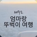 (주)베니키아호텔제주 이미지