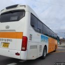 관광지순환버스 주식회사 이미지