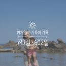 감포도서관 이미지