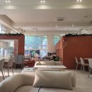 브라운칩 이미지