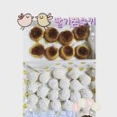 초등과학지도사1급 이미지